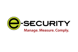 e-Security